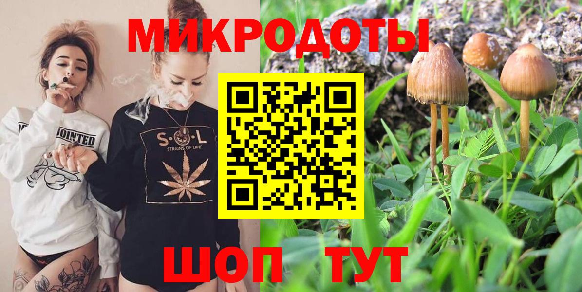 закладка  Вход с VPN  Унеча  Галлюциногенные грибы Magic Shrooms 
