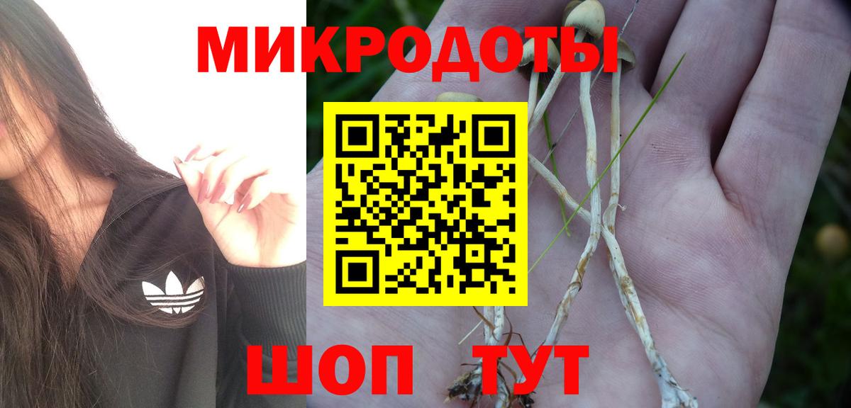 Галлюциногенные грибы ЛСД Унеча